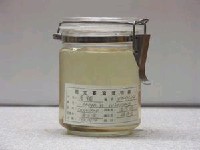 藏品(菱鯛)的圖片